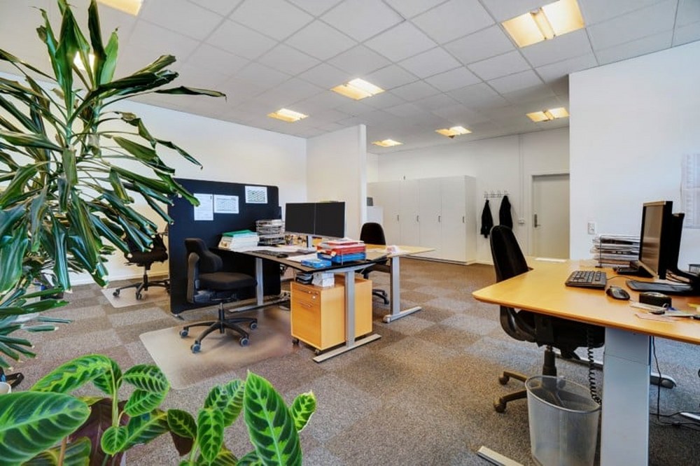 Komplet lejemål